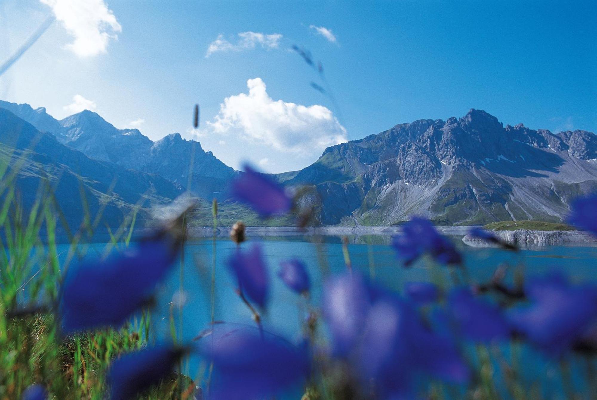 Valbona Blick By A-appartments Buerserberg